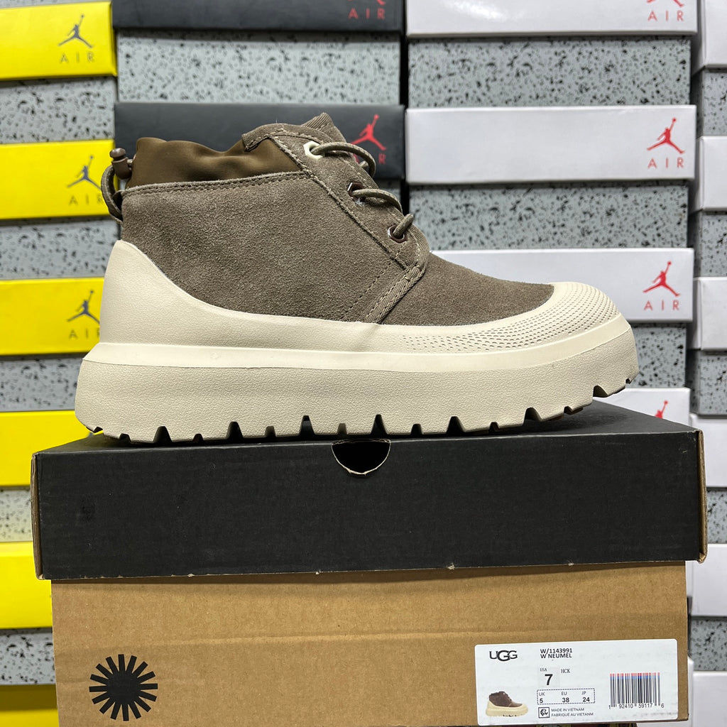 UGG Lace-Up Ankle Boots in Walnut Brown & Cream