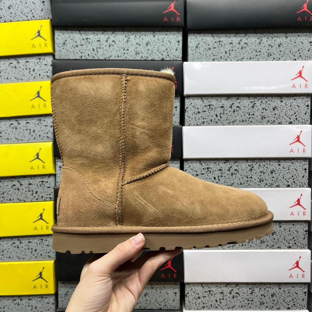 UGG Classic Short Boots in Chestnut